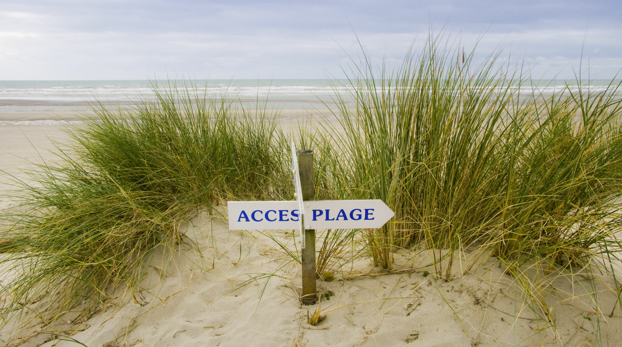 Novotel Thalassa Le Touquet Εξωτερικό φωτογραφία